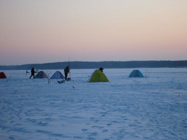 Печенеги Черный лес 4-03-2012.JPG