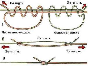 raznovidnosti-uzlov.jpg