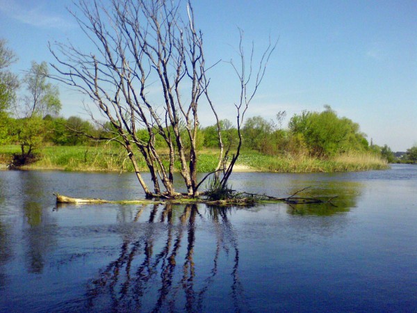 Гинеевка 2007-05-12_02.jpg