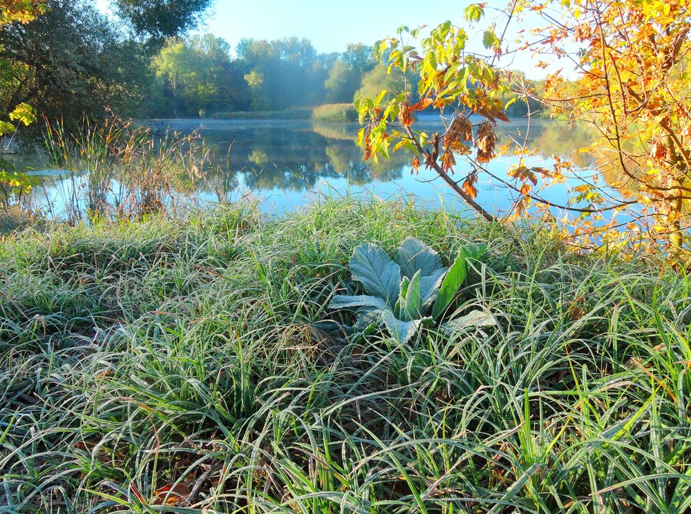 Гинеевка 8.10.2018_13.jpg