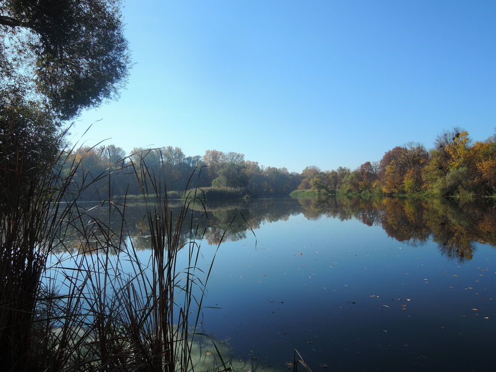 Гинеевка 16.10.2018_31.JPG