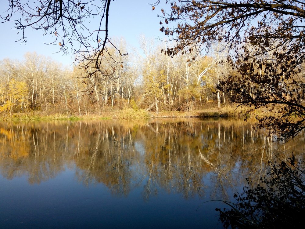 Гинеевка 23.10.2018_04.jpg