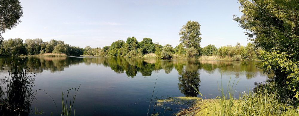 Гинеевка 17.05.2019_04.jpg