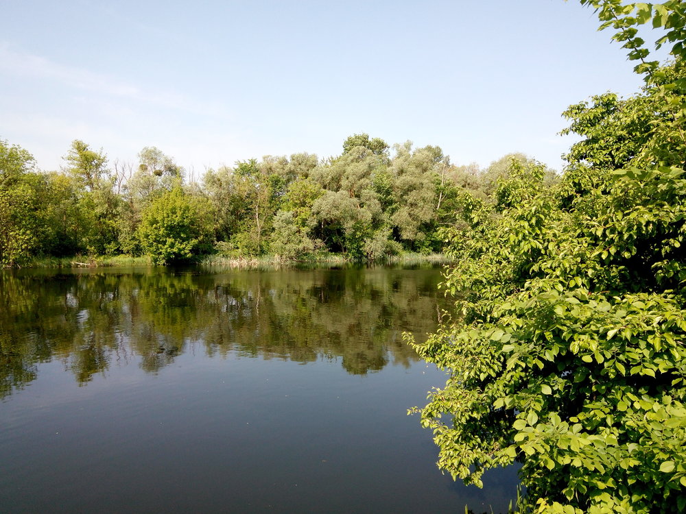 Гинеевка 17.05.2019_08.jpg