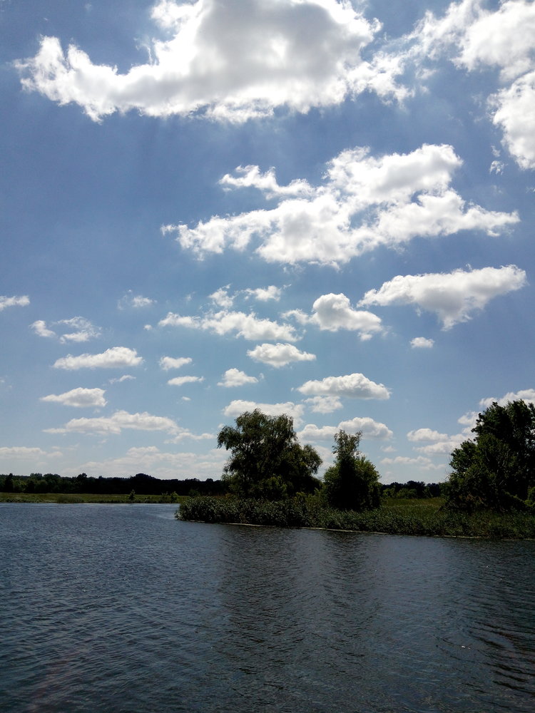 Гинеевка 27.05.2019 Харп_09.jpg