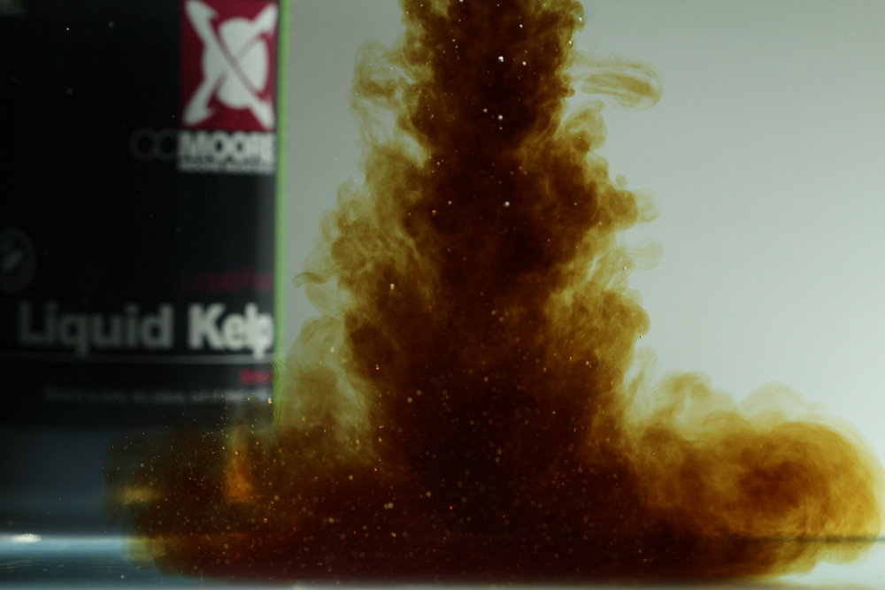 Liquid-Kelp.jpg