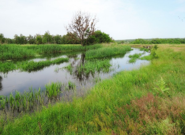 Мжа Ракитное 2 04.06.2014.JPG