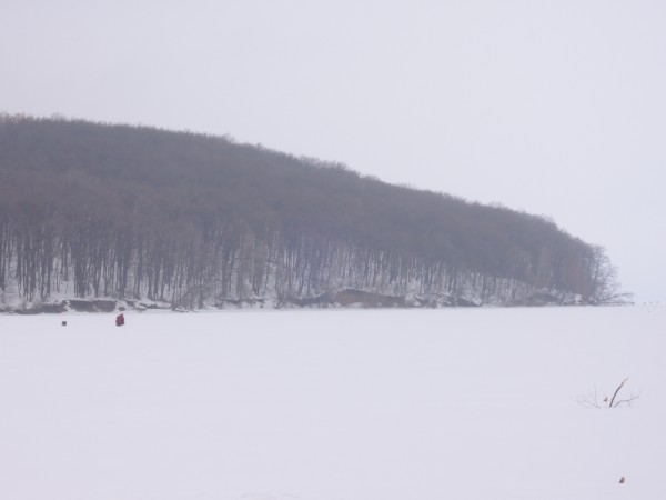 Печенеги Черный лес. 30.01.2015_1.JPG