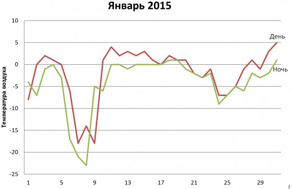 График январь 1915.jpg