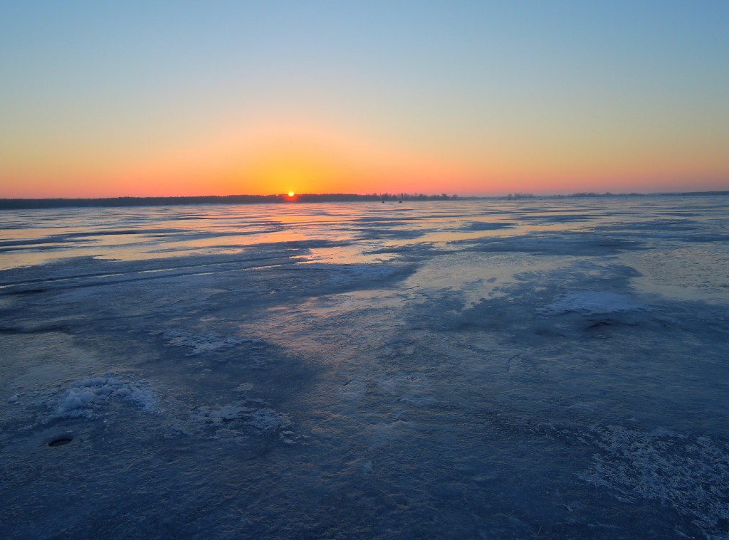 Печенеги, под Черным лесом 30.01.2016.jpg