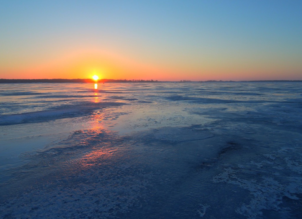 Печенеги, под Черным лесом 30.01.2016_03.jpg