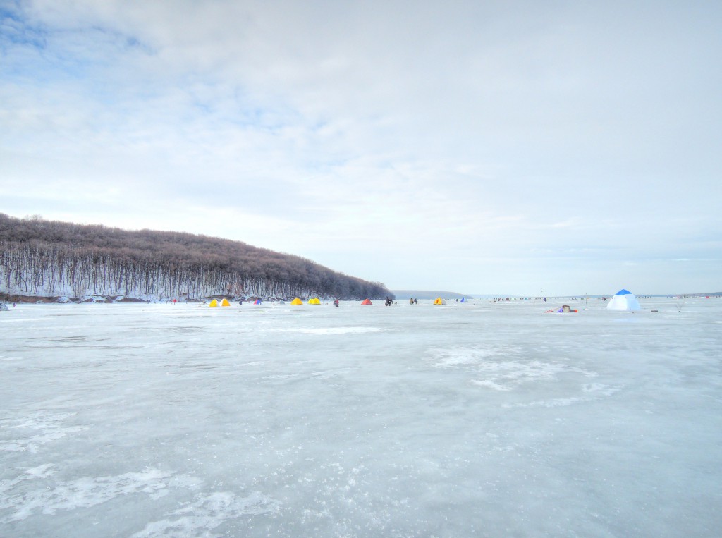 Печенеги, под Черным лесом 30.01.2016_06.jpg