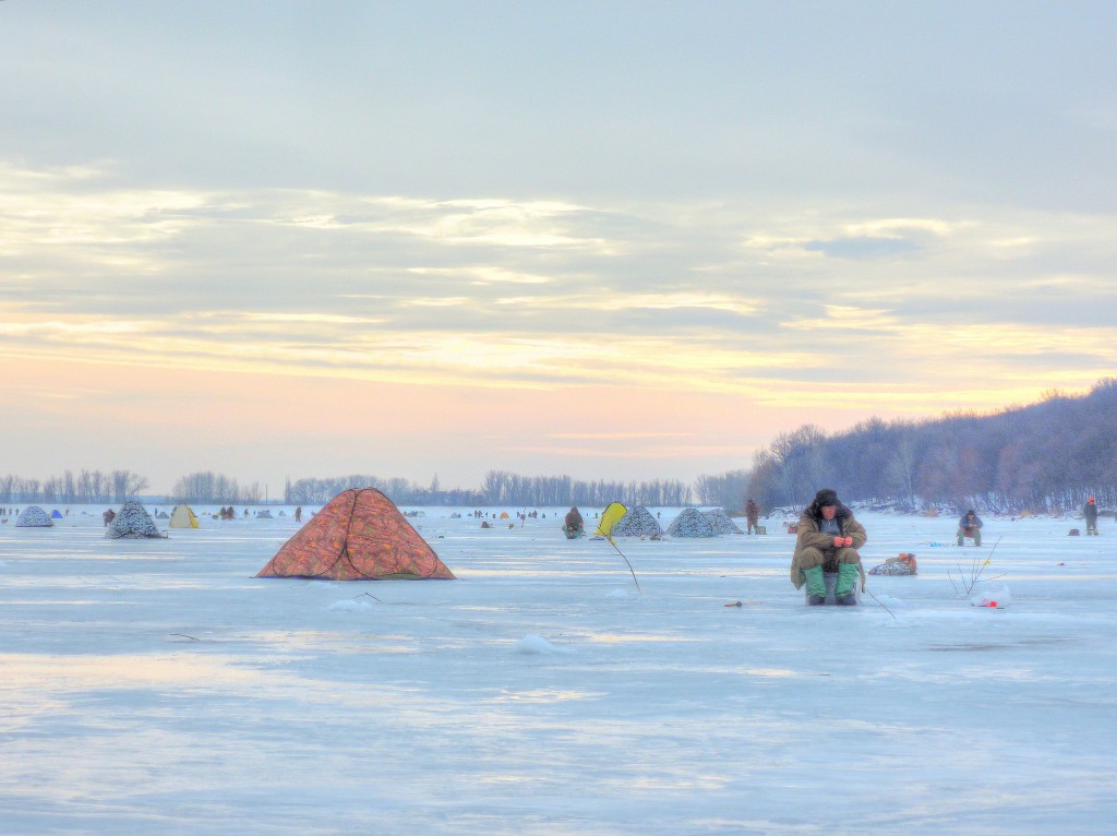 Печенеги, под Черным лесом 30.01.2016_08.jpg