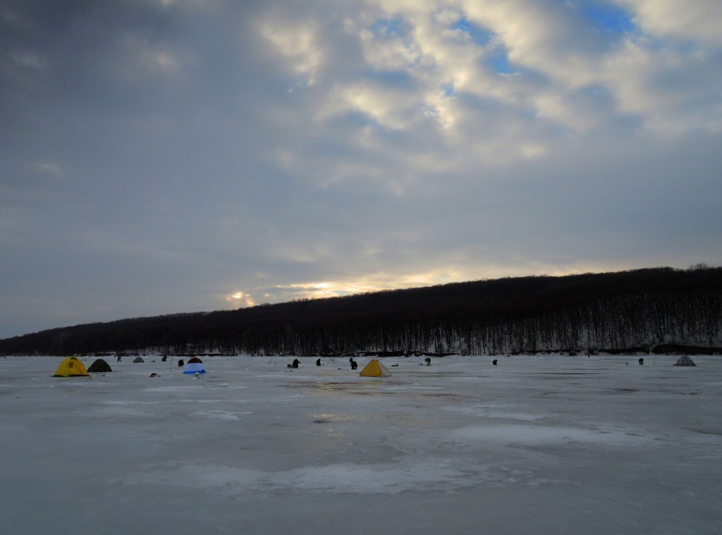 Печенеги, под Черным лесом 30.01.2016_13.jpg