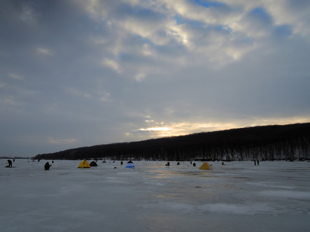 Печенеги, под Черным лесом 30.01.2016_14.jpg