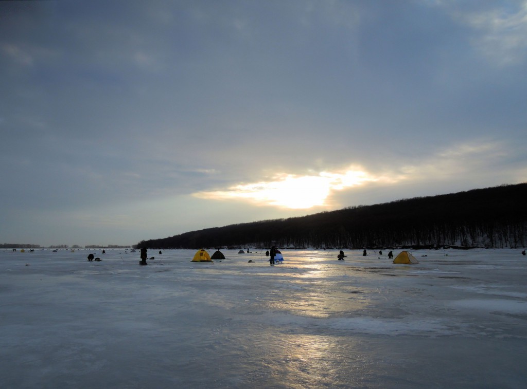 Печенеги, под Черным лесом 30.01.2016_15.jpg