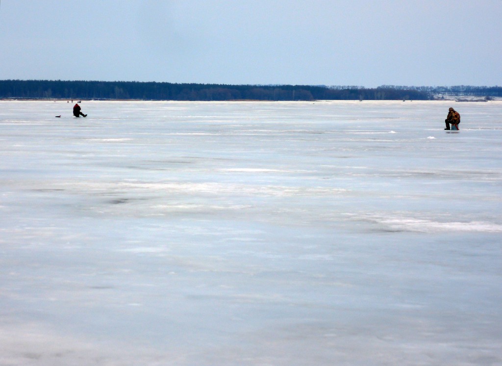 Печенеги, под Черным лесом 30.01.2016_16.jpg