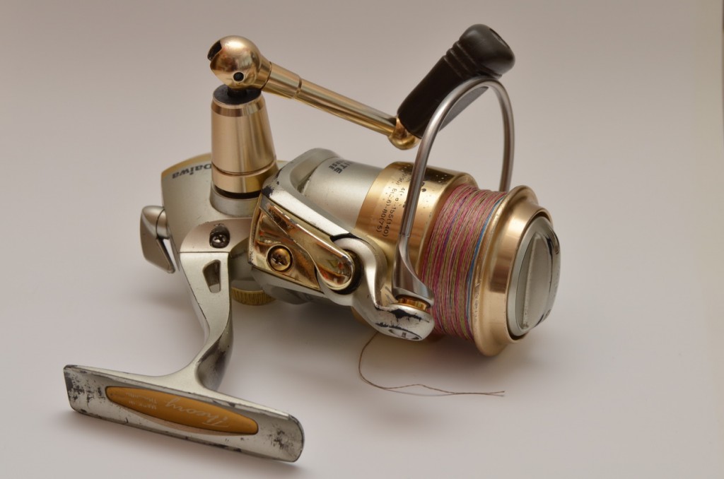 Daiwa 1.jpg