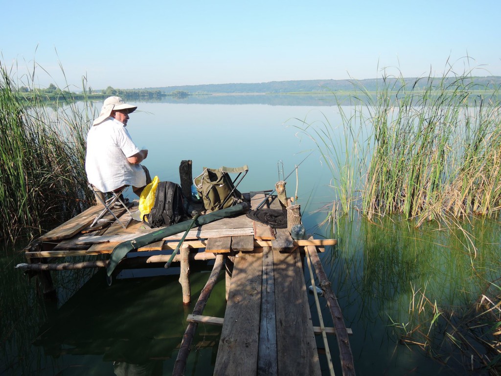 Рогозянка 2016.07.04_04.JPG