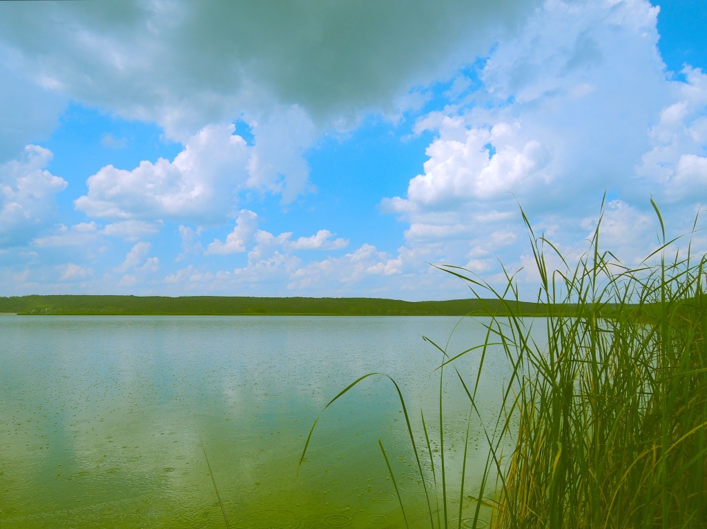 Рогозянка 2016.07.04_09.JPG