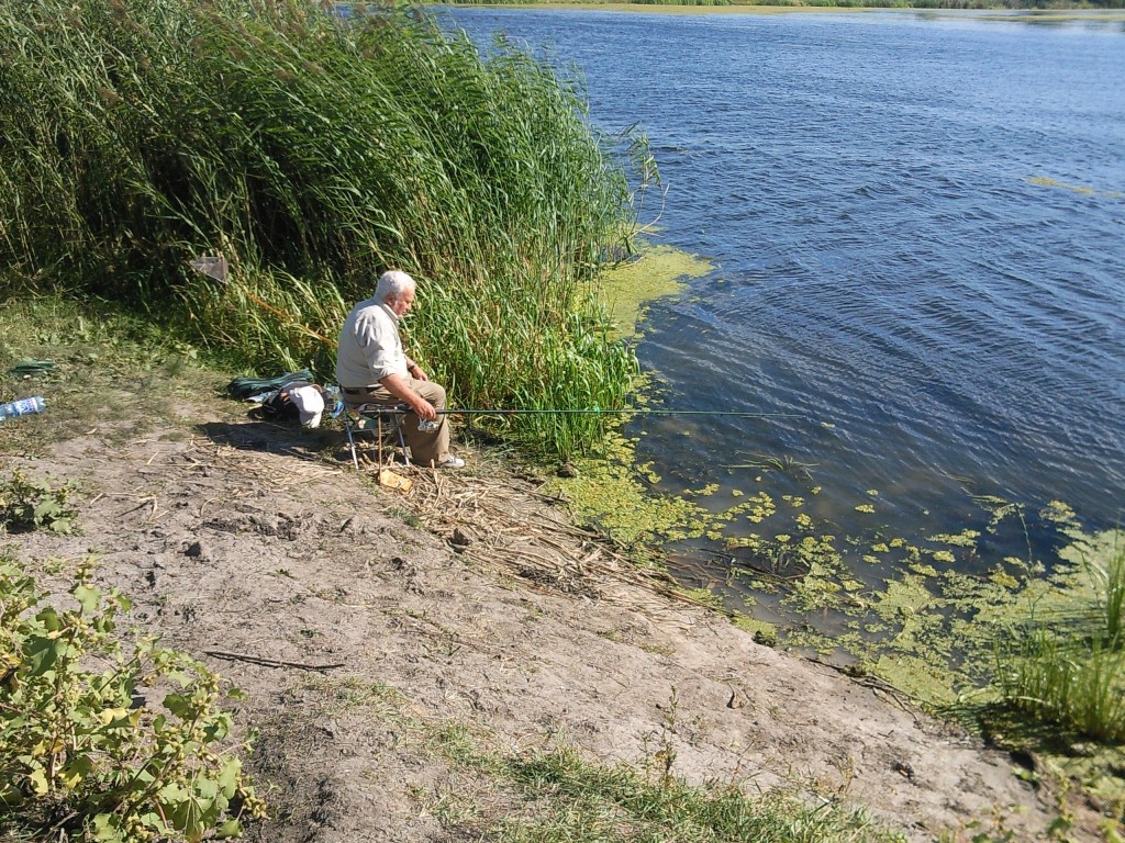 Гинеевка 08.09.2016_09.jpg