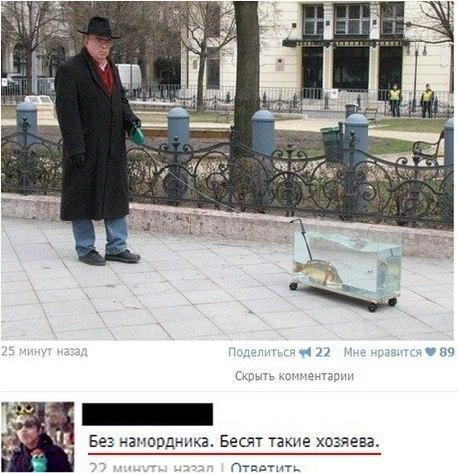 Выгул карпа.jpg