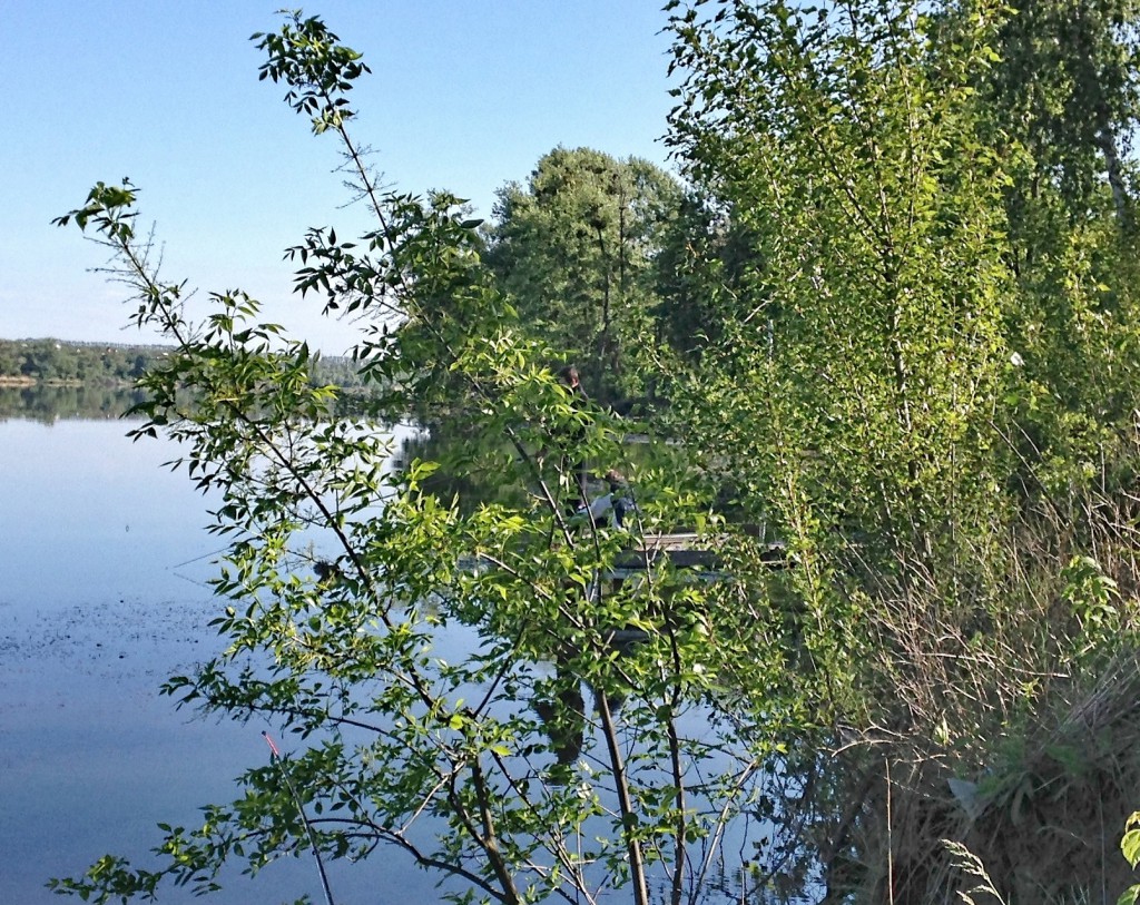 Лозовеньки 23.05.2017-3.jpg