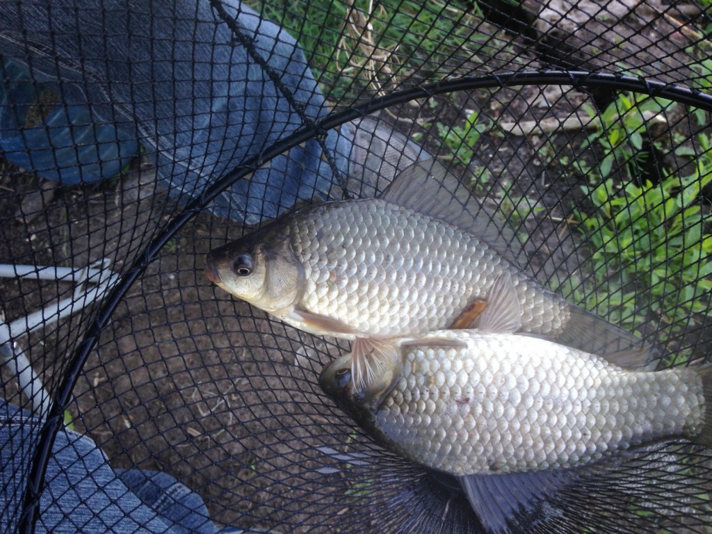 Лозовеньки 23.05.2017_09.JPG