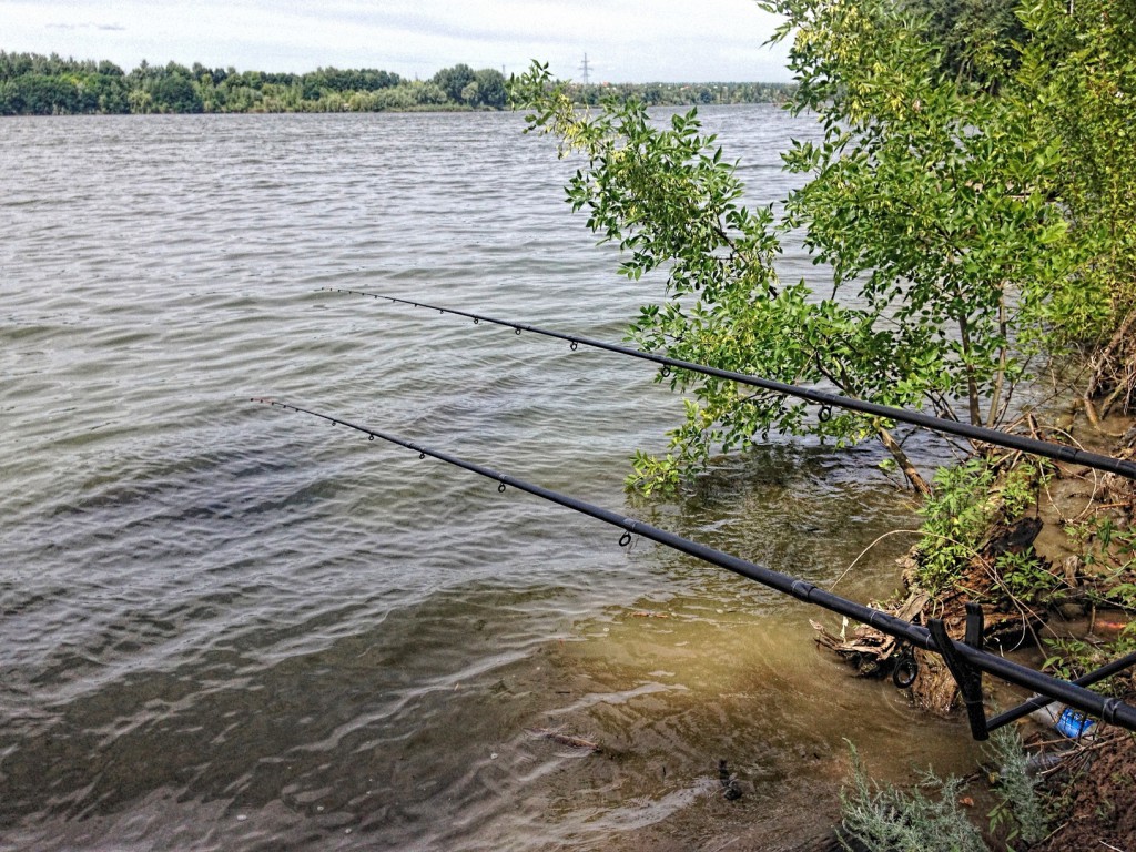 Лозовеньки 17.07.2017_02.JPG