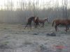 Имя файла=DSC00820.JPG
Размер файла=570КБ
Размеры=1280x960
Дата=Май 03, 2007 DSC00820.JPG